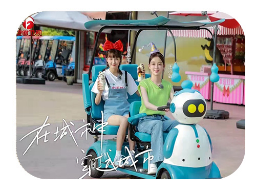 伴游机器人的优缺点